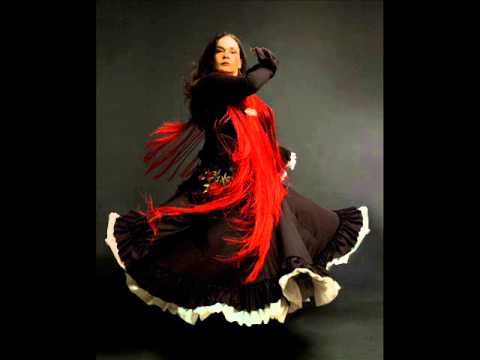 Melek Yel ile Flamenko Dersleri 1/Flamenco Dance Lessons 1, Introduction to Flamenco